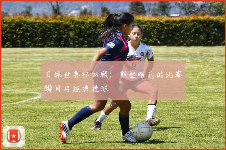 日韩世界杯回顾：那些难忘的比赛瞬间与经典进球