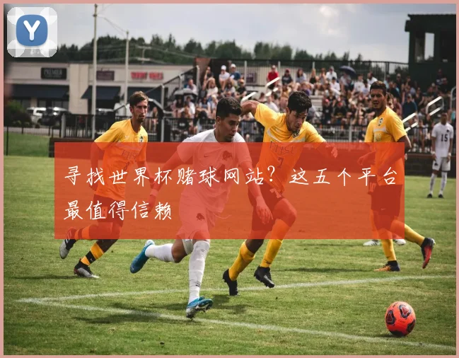 寻找世界杯赌球网站？这五个平台最值得信赖
