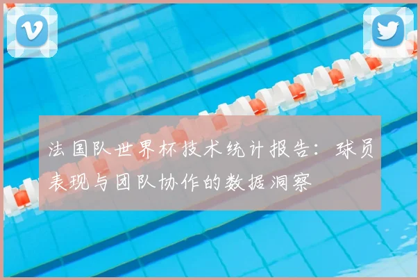 法国队世界杯技术统计报告：球员表现与团队协作的数据洞察
