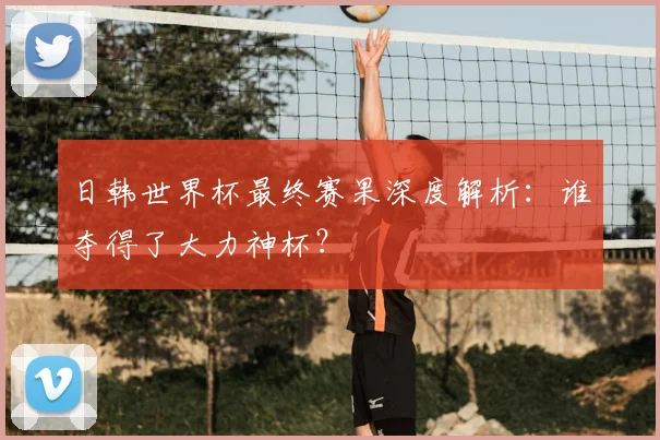 日韩世界杯最终赛果深度解析：谁夺得了大力神杯？