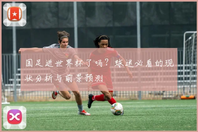 国足进世界杯了吗？球迷必看的现状分析与前景预测