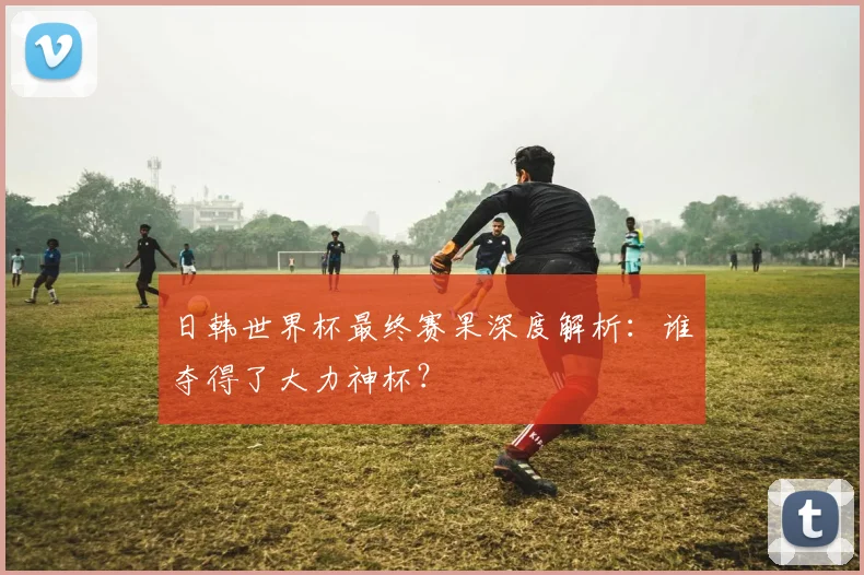 日韩世界杯最终赛果深度解析：谁夺得了大力神杯？