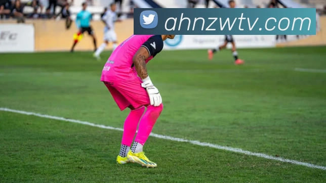 华体在线登录官网服务体系